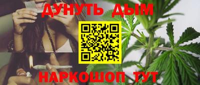 сатива Ярославль