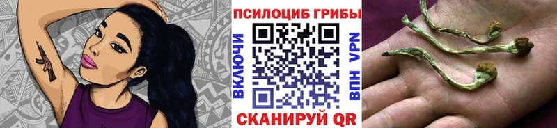 Псилоцибиновые грибы MAGIC MUSHROOMS ОМГ ОМГ зеркало Ангарск