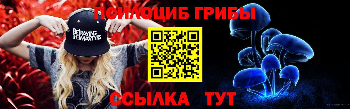 Псилоцибиновые грибы GOLDEN TEACHER Ангарск