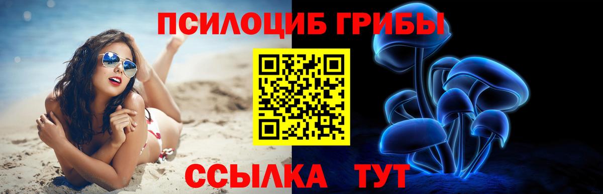 Ангарск  Псилоцибиновые грибы мухоморы  Вход с VPN 